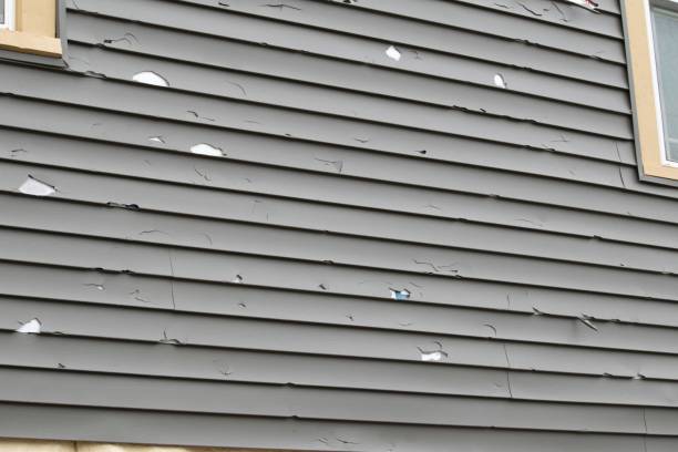 Best Siding Painting and Refinishing  in USA